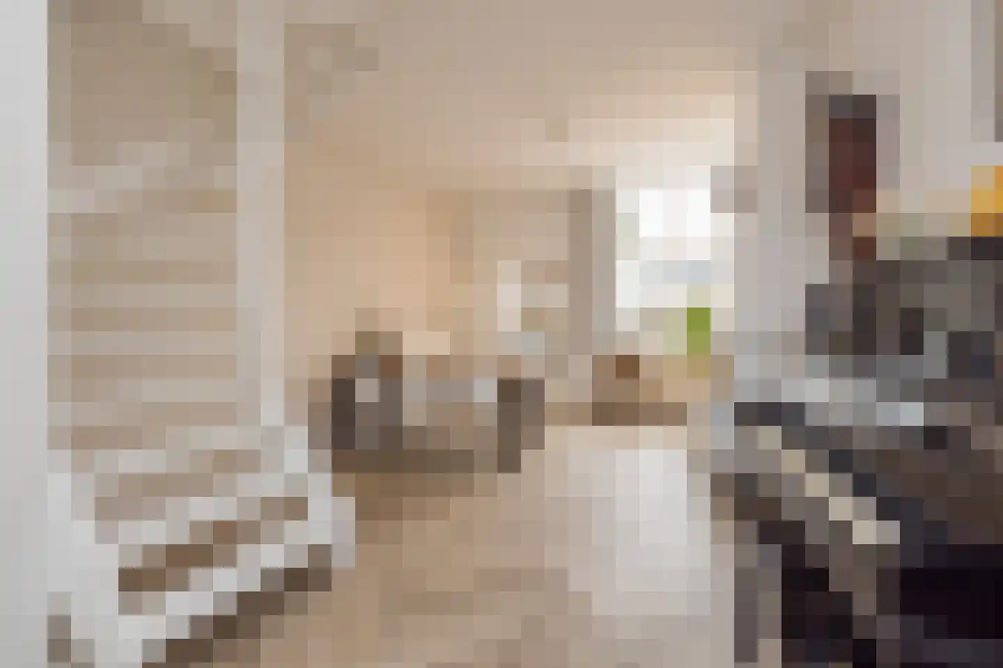 Groenoordstraat 8 Leiden thumbnail 6