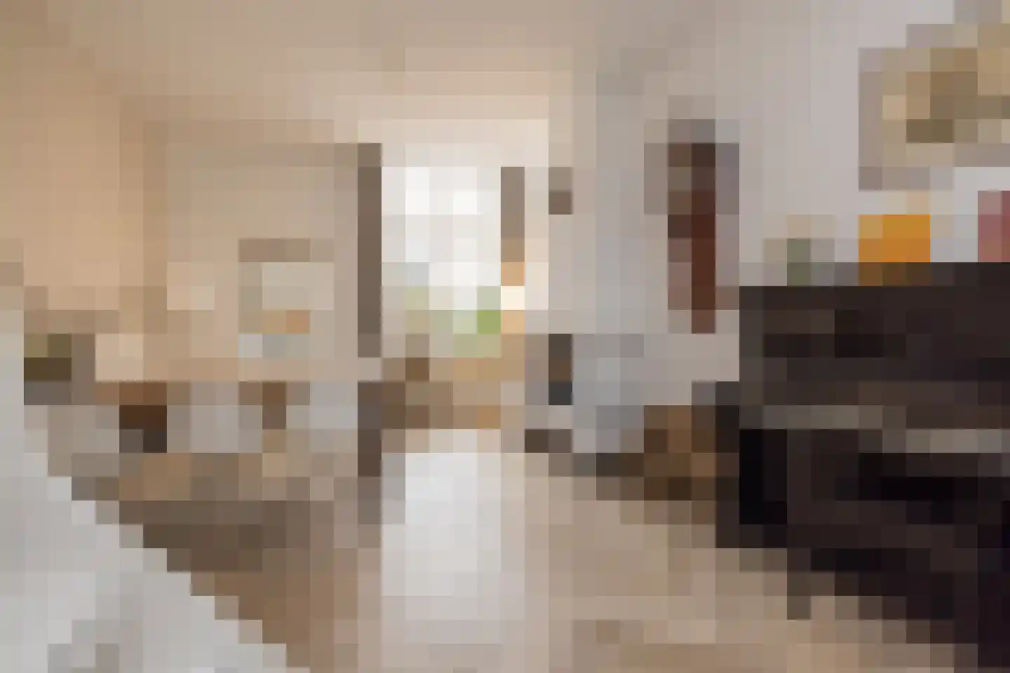 Groenoordstraat 8 Leiden thumbnail 8