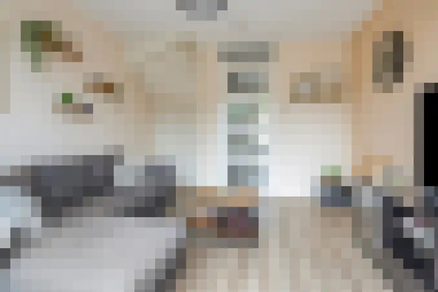 Groenplaats 18 Veenendaal thumbnail 8