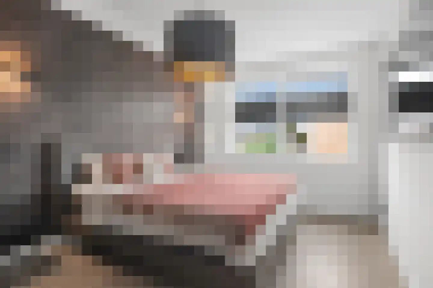 Groenplaats 32 Veenendaal thumbnail 7