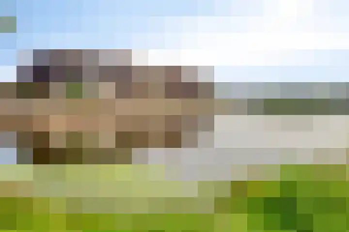 Groenplaats 38 Veenendaal thumbnail 24