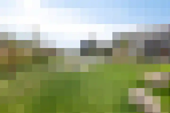 Groenplaats 38 Veenendaal thumbnail 25