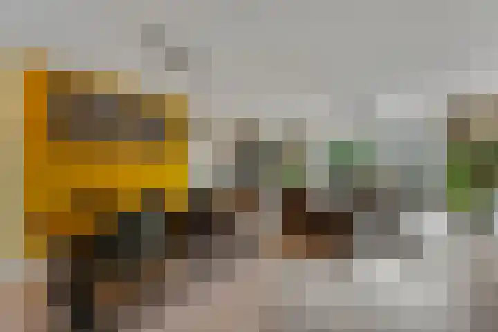 Groenplaats 4 Veenendaal thumbnail 18