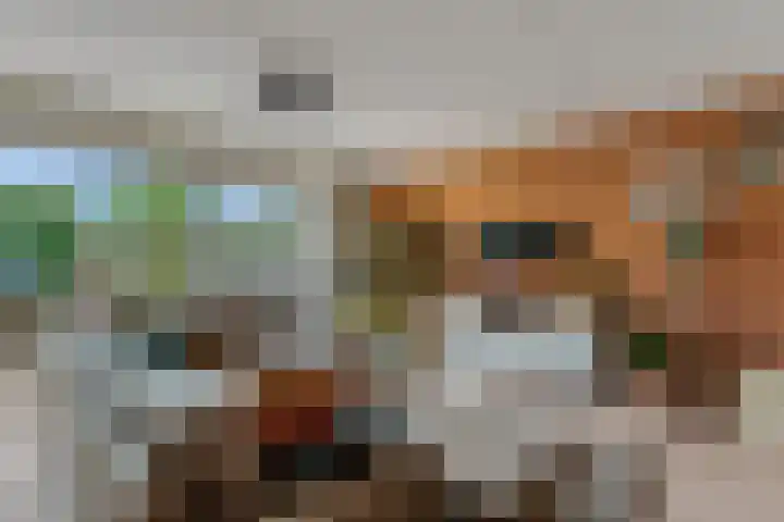 Groenplaats 4 Veenendaal thumbnail 19
