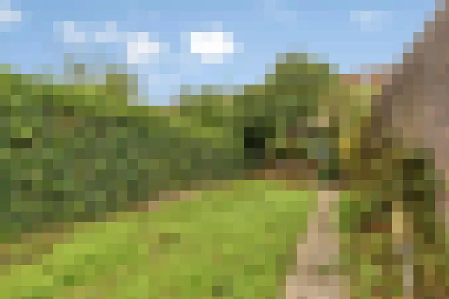 Groenplaats 5 Bergen op Zoom thumbnail 23