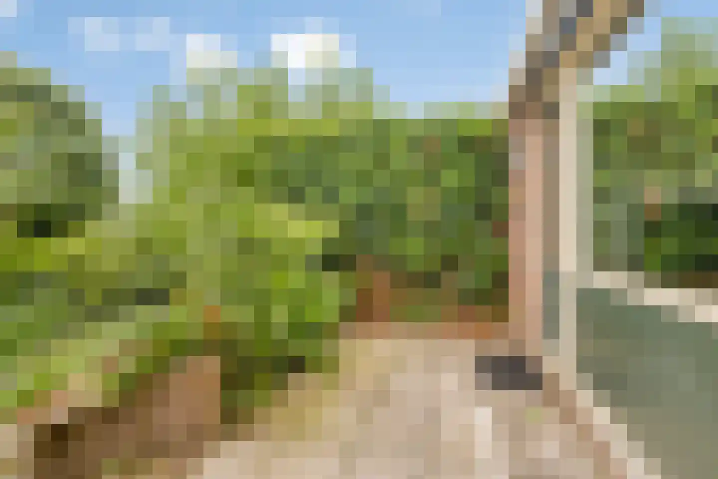 Groenplaats 5 Bergen op Zoom thumbnail 27