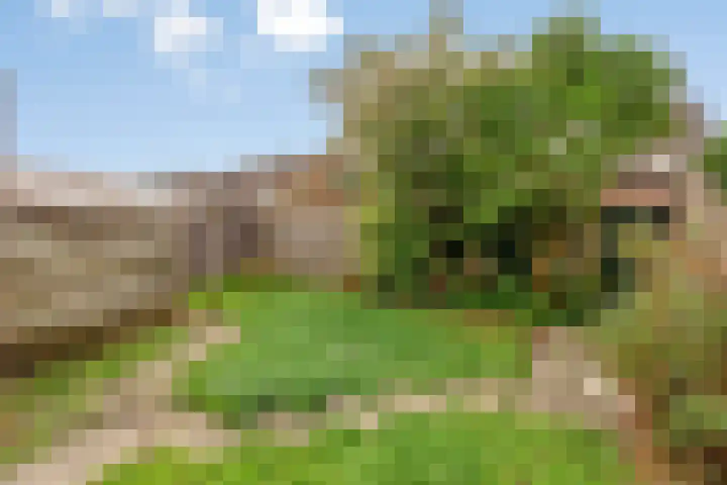 Groenplaats 5 Bergen op Zoom thumbnail 29