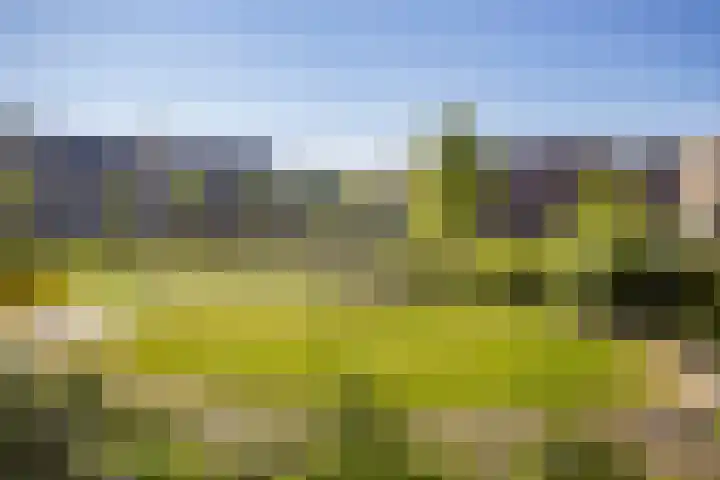 Groenplaats 8 Veenendaal thumbnail 33