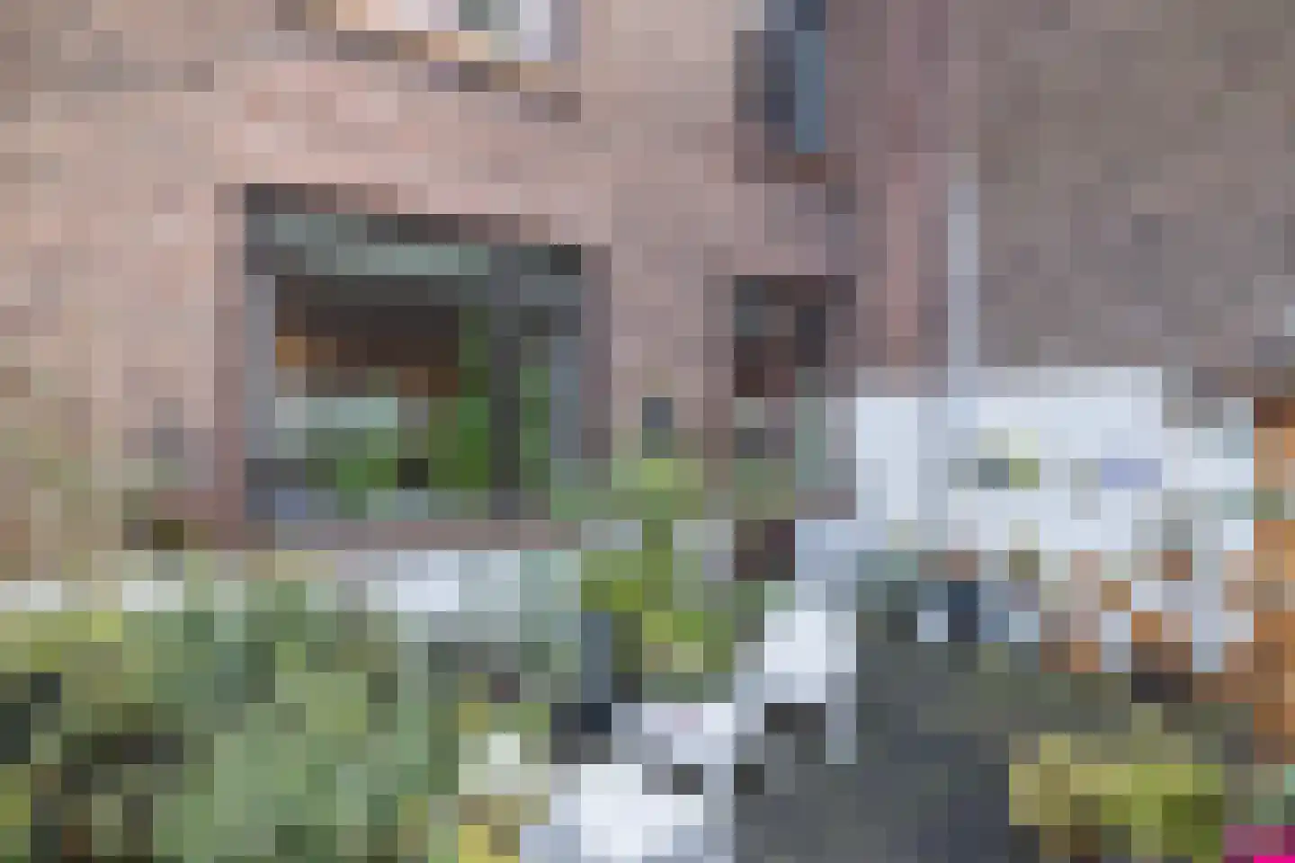 Groenseykerstraat 42 Geleen thumbnail 17