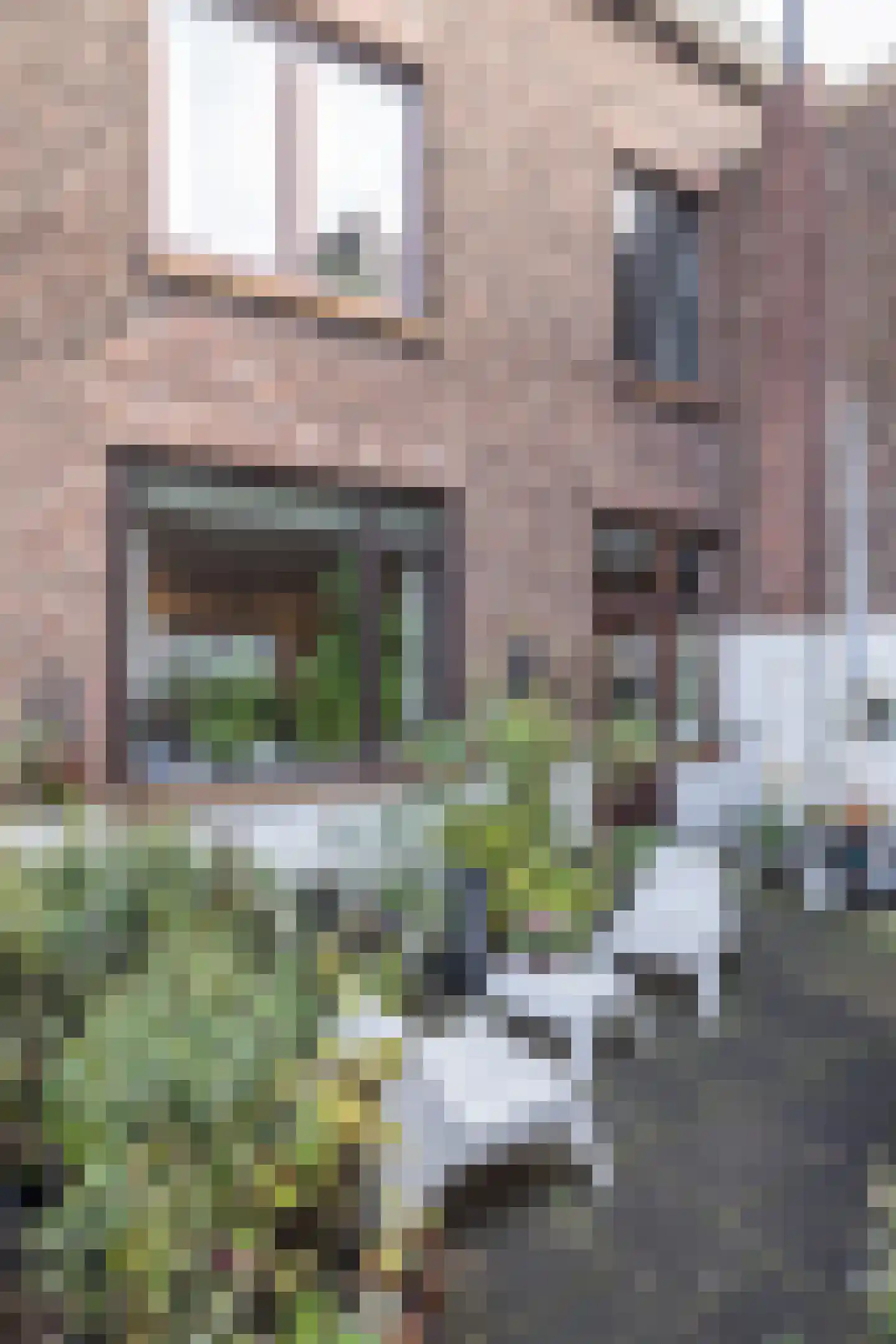 Groenseykerstraat 42 Geleen thumbnail 19