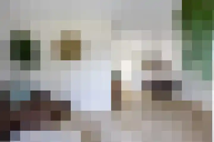 Groensingel 66 Middelstum thumbnail 10