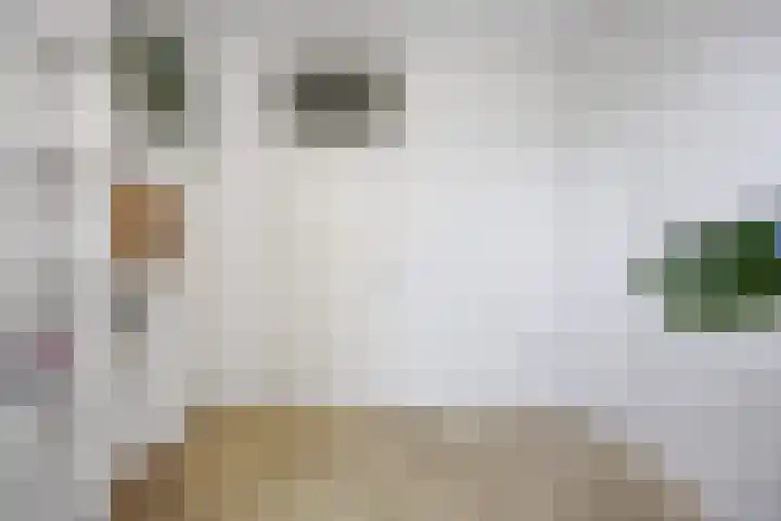 Groensingel 66 Middelstum thumbnail 20