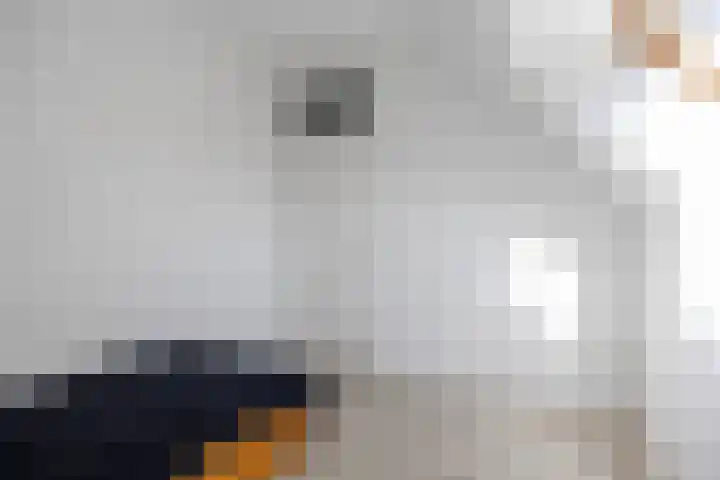 Groensingel 66 Middelstum thumbnail 25
