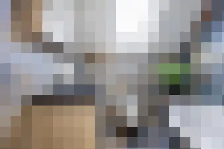 Groensingel 66 Middelstum thumbnail 28