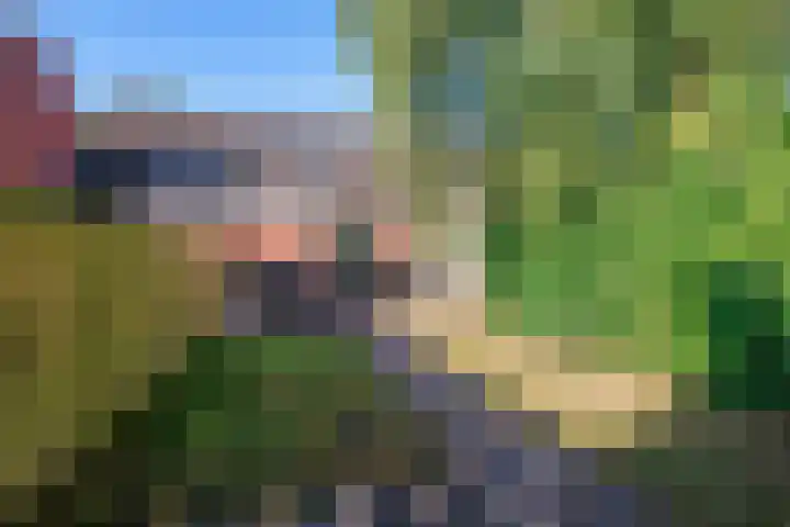 Groensingel 66 Middelstum thumbnail 33