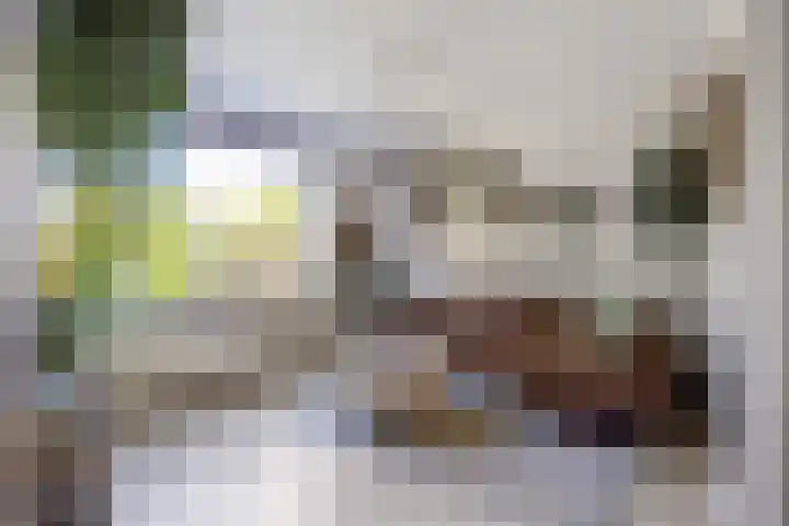 Groensingel 66 Middelstum thumbnail 9