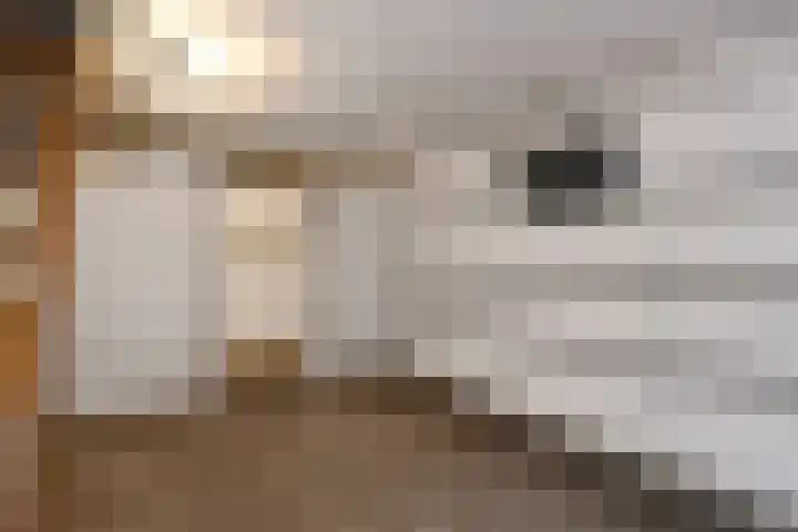 Groenstraat 1 Panningen thumbnail 11