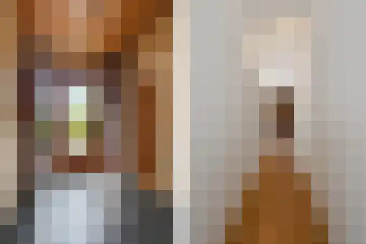 Groenstraat 1 Panningen thumbnail 12