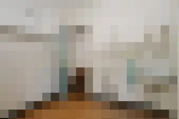 Groenstraat 1 Panningen thumbnail 18