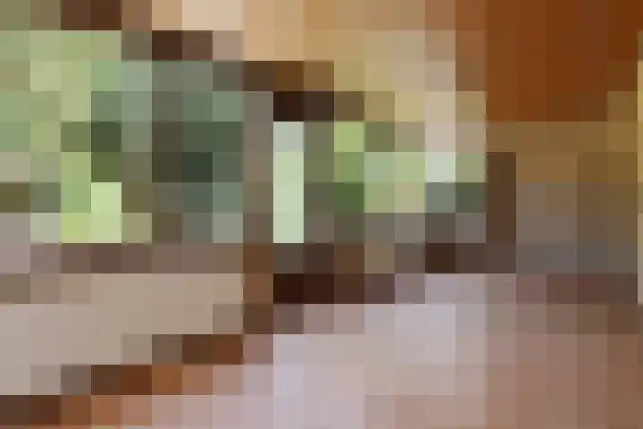 Groenstraat 1 Panningen thumbnail 22