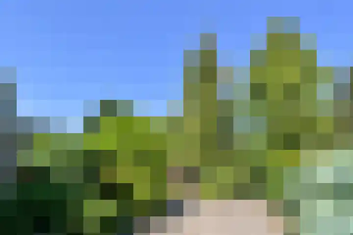 Groenstraat 1 Panningen thumbnail 26