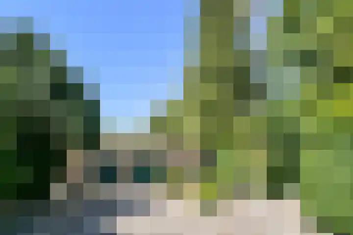 Groenstraat 1 Panningen thumbnail 27