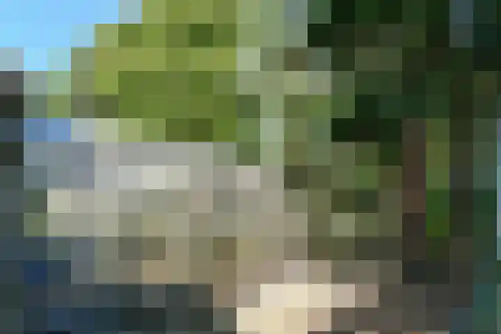 Groenstraat 1 Panningen thumbnail 32