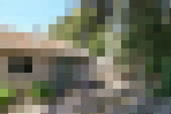 Groenstraat 1 Panningen thumbnail 33