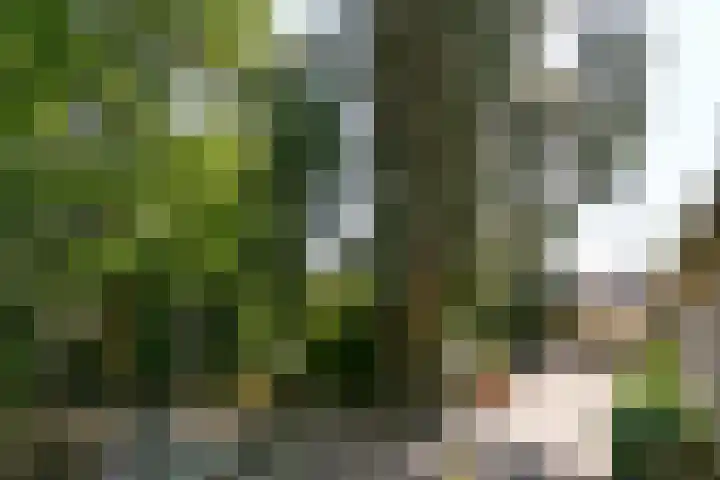 Groenstraat 1 Panningen thumbnail 35