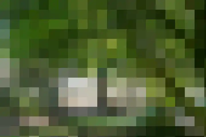 Groenstraat 1 Panningen thumbnail 37