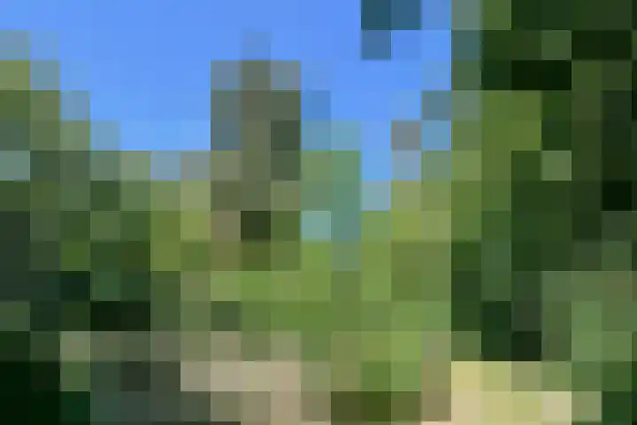 Groenstraat 1 Panningen thumbnail 39