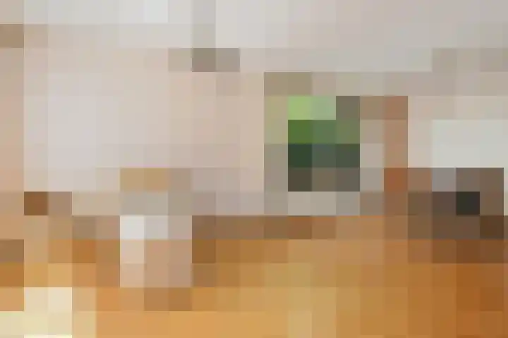 Groenstraat 1 Panningen thumbnail 4