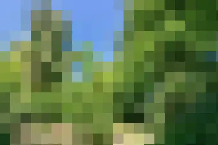 Groenstraat 1 Panningen thumbnail 42
