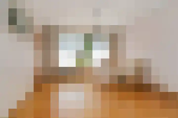 Groenstraat 1 Panningen thumbnail 5