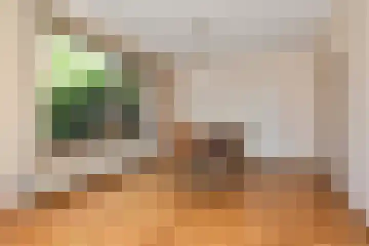 Groenstraat 1 Panningen thumbnail 6