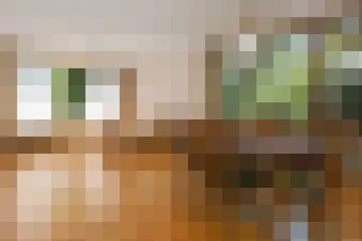 Groenstraat 1 Panningen thumbnail 7