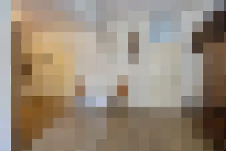 Groenstraat 10 A Prinsenbeek thumbnail 11