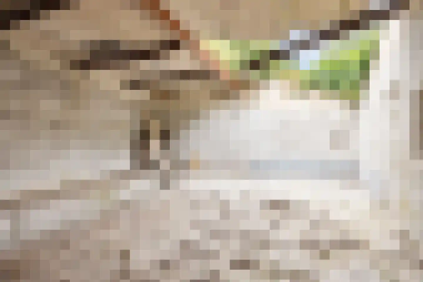 Groenstraat 102 Melick thumbnail 44