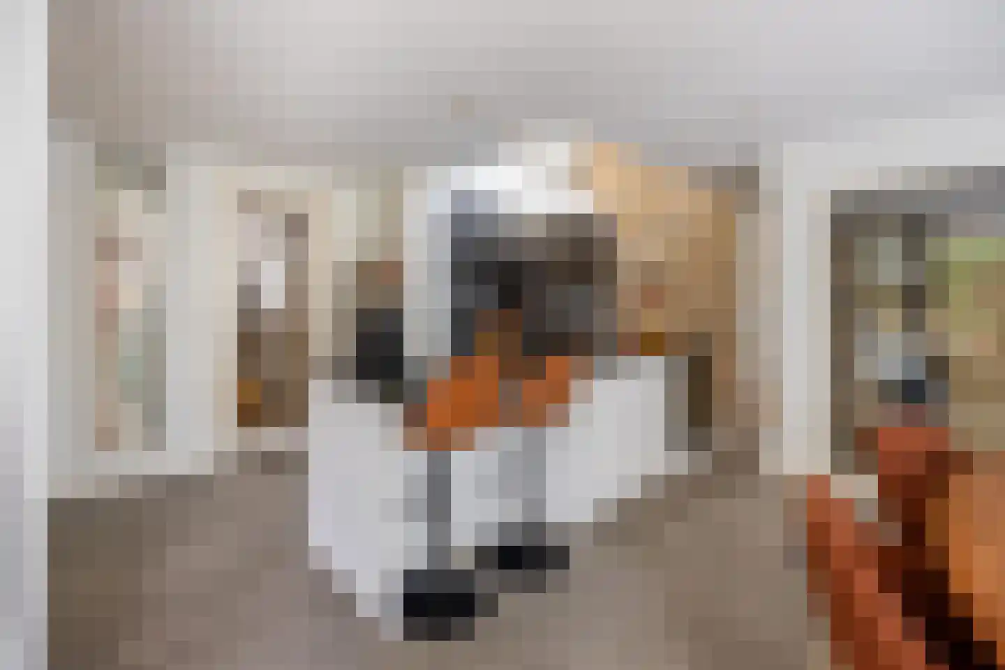 Groenstraat 11 Oisterwijk thumbnail 13
