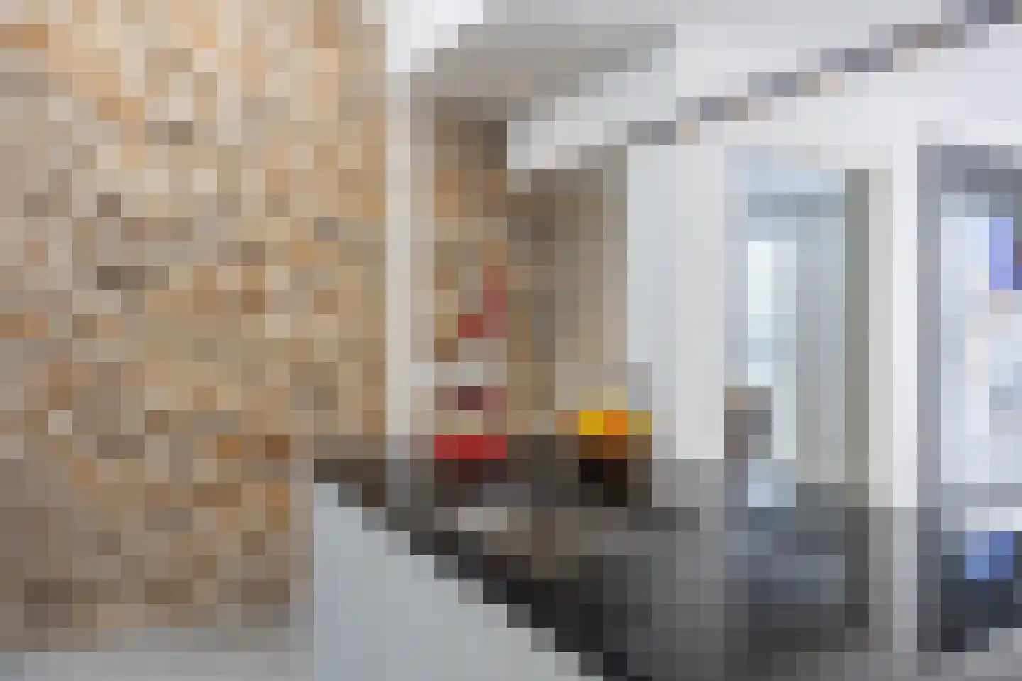 Groenstraat 11 Oisterwijk thumbnail 24