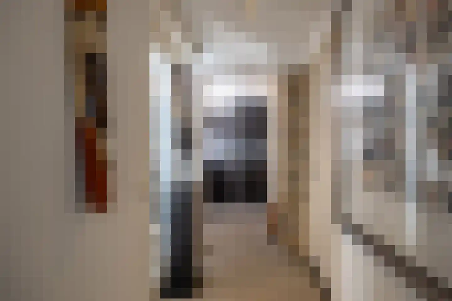 Groenstraat 11 Oisterwijk thumbnail 25