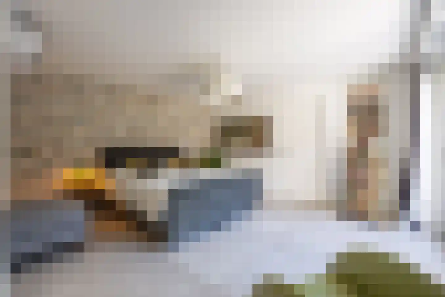 Groenstraat 11 Oisterwijk thumbnail 27