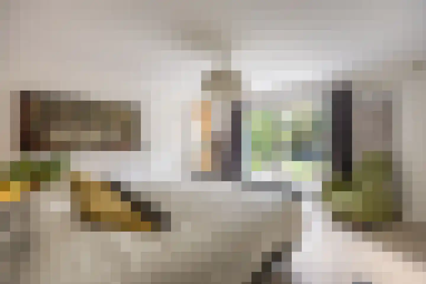 Groenstraat 11 Oisterwijk thumbnail 28