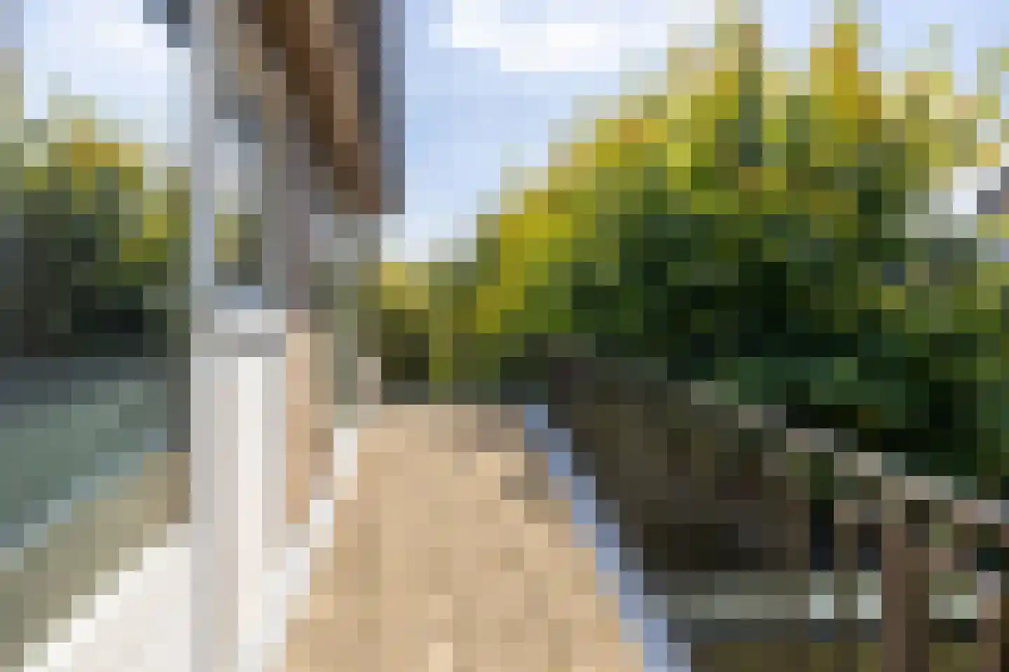 Groenstraat 11 Oisterwijk thumbnail 40