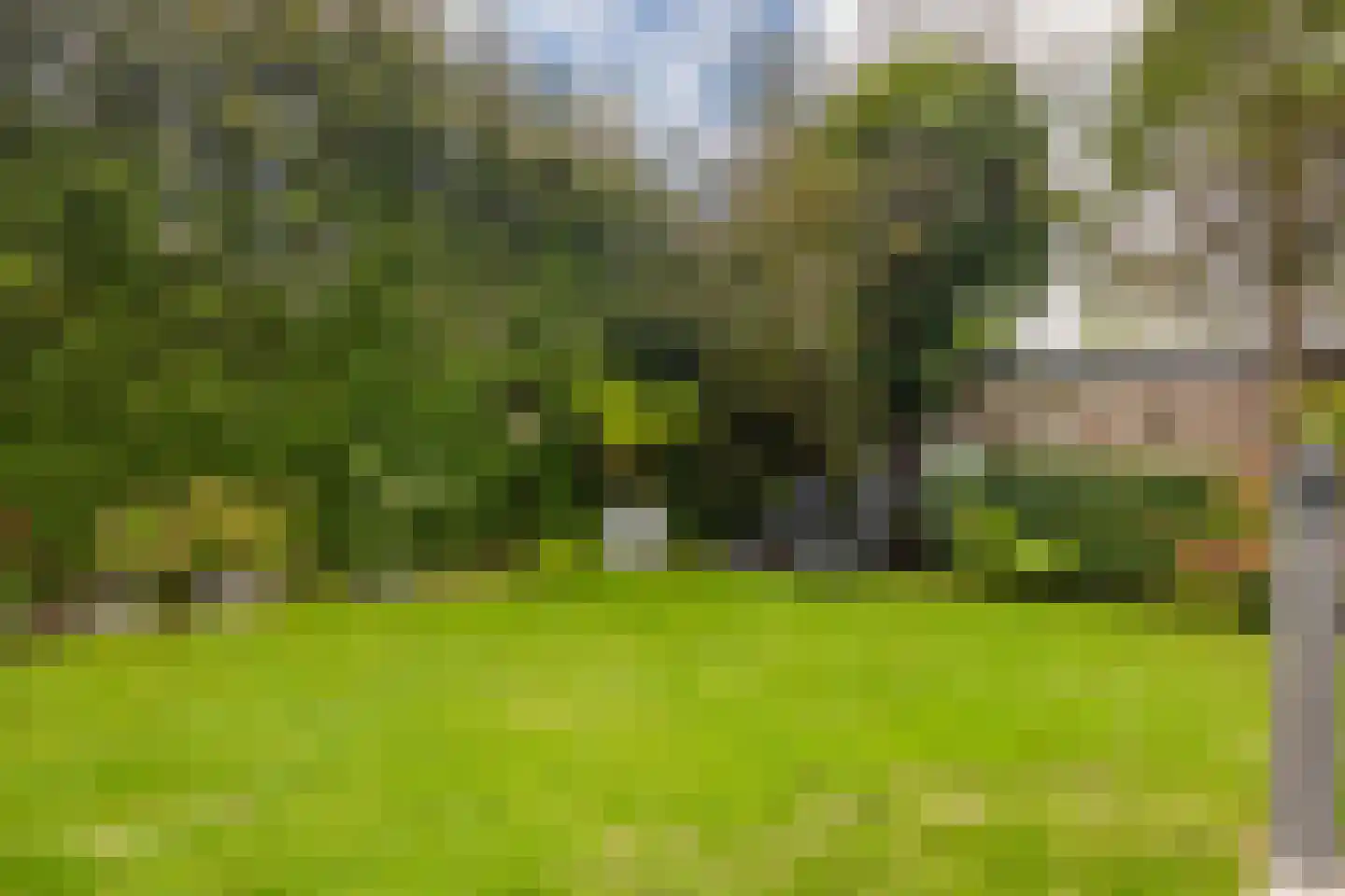 Groenstraat 11 Oisterwijk thumbnail 46
