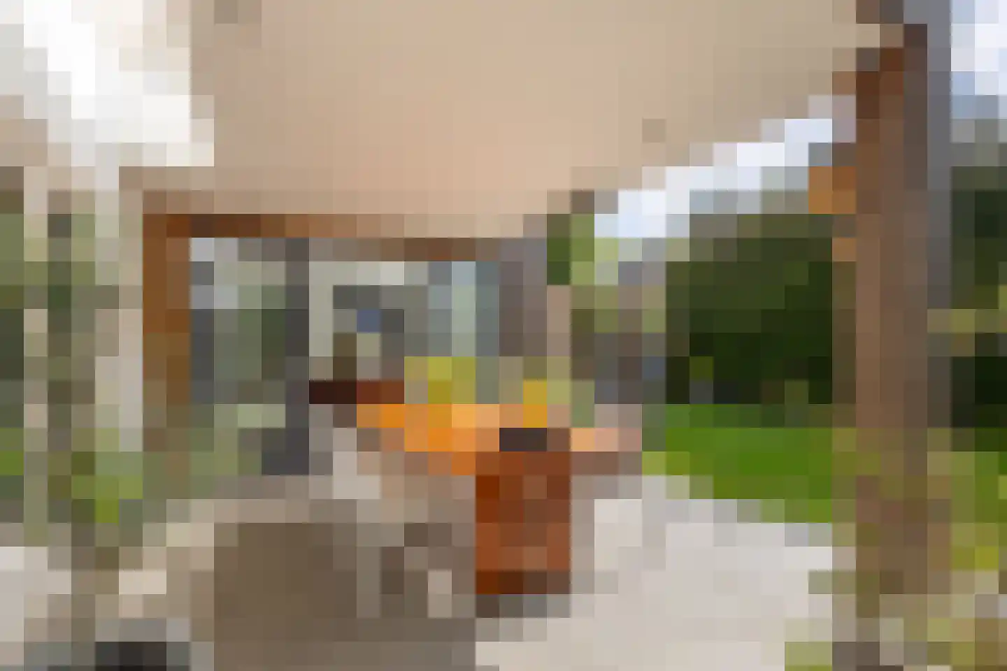 Groenstraat 11 Oisterwijk thumbnail 49