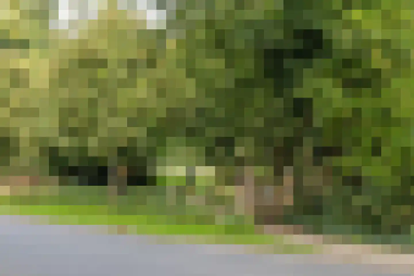 Groenstraat 11 Oisterwijk thumbnail 55