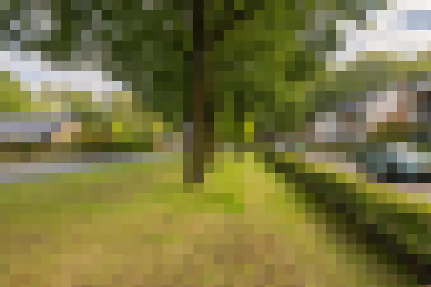 Groenstraat 11 Oisterwijk thumbnail 56