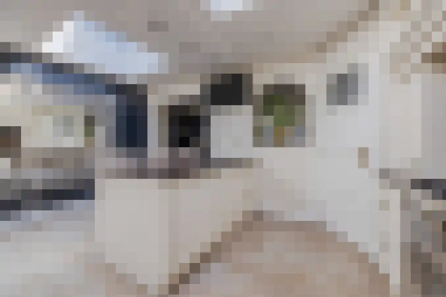 Groenstraat 111 Tilburg thumbnail 11