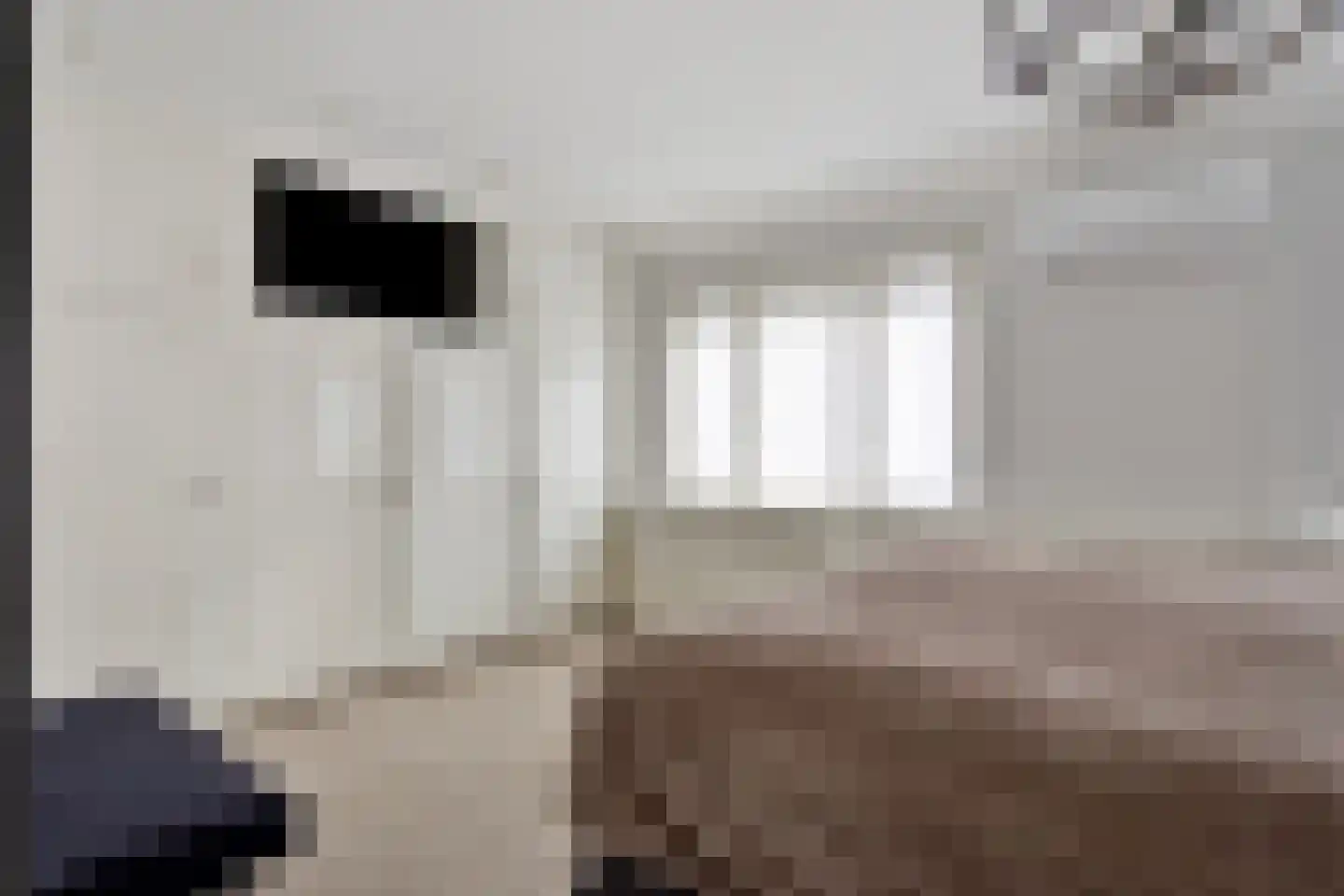 Groenstraat 111 Tilburg thumbnail 14